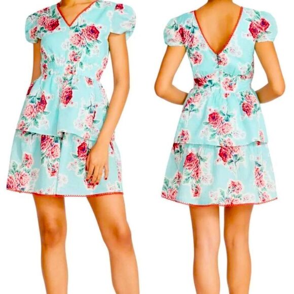 Betsey Johnson Rose Garden Printed Seersucker Tea Dress - Picture 1 of 9